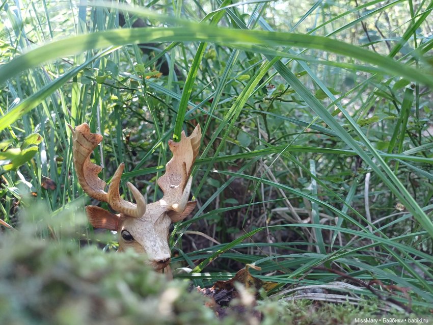 Робин Гуд. Охота на оленя