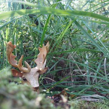 Робин Гуд. Охота на оленя