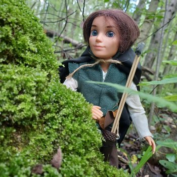 Робин из Шервуда