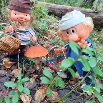 Веселые картинки. "Ай-ай-ай! Грибы!"