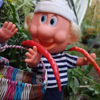 Веселые картинки. Урожай дядюшки Увэ