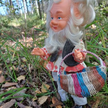 Как Петрович грибы собирал