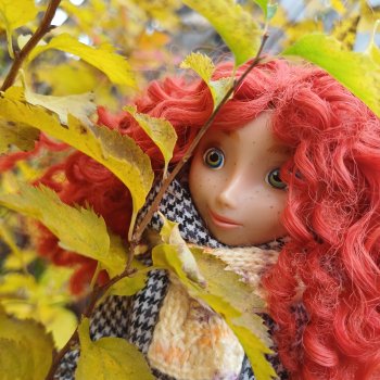Моя рыжая осень 🍁