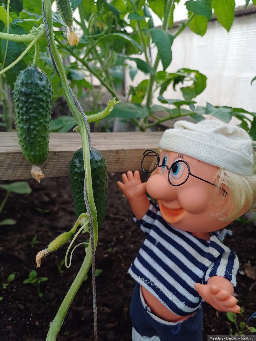 Дядя Увэ и первый огурец 🥒