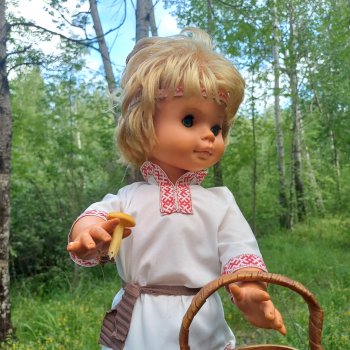 Как Вася по грибы ходил