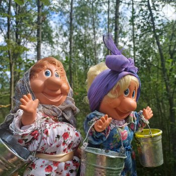 Как Фаина с Анфисой за черникой ходили🫐