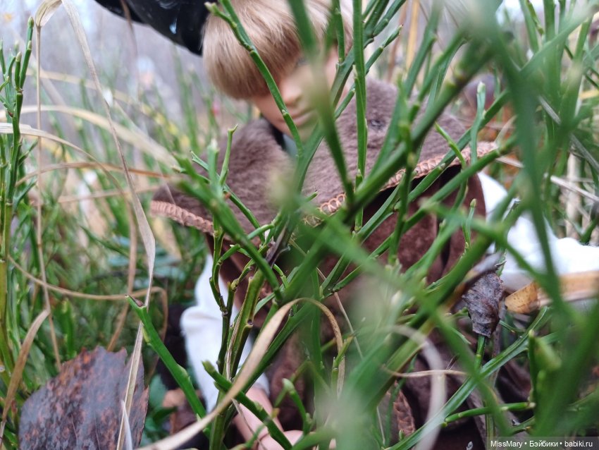 Жар-птица и Морская дева. 7 серия (фото 6)