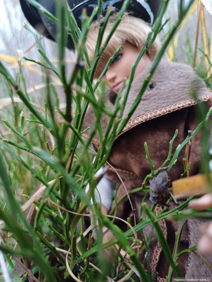 Жар-птица и Морская дева. 7 серия (фото 4)