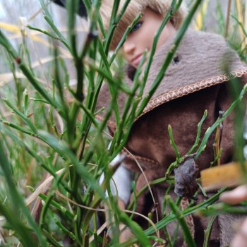 Жар-птица и Морская дева. 7 серия