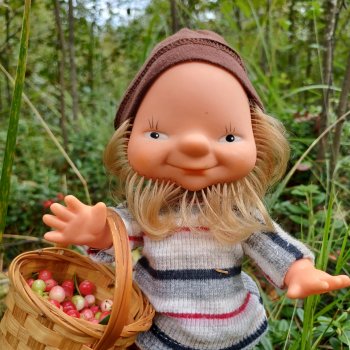 Как дядя Елисей за брусникой ходил