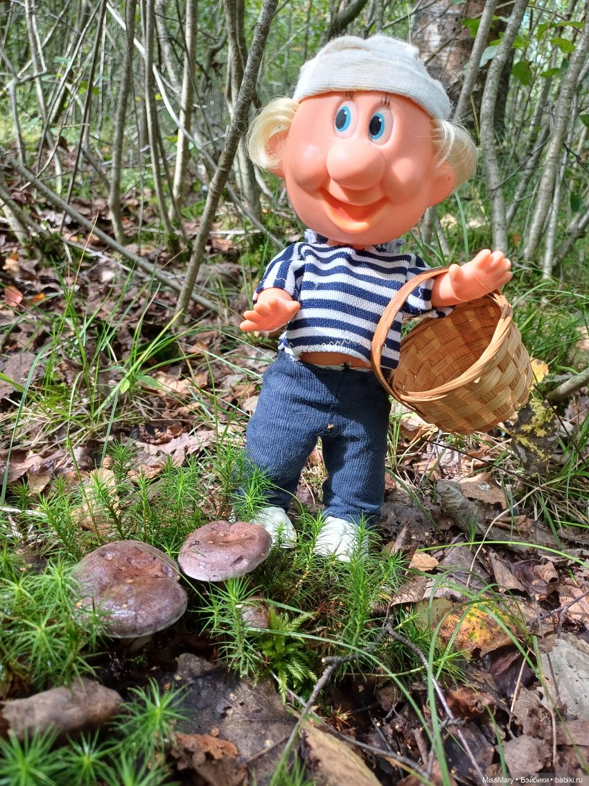 Как дядя Увэ за грибами ходил