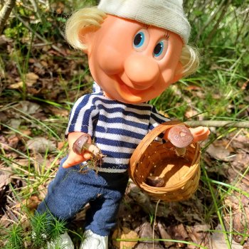 Как дядя Увэ за грибами ходил