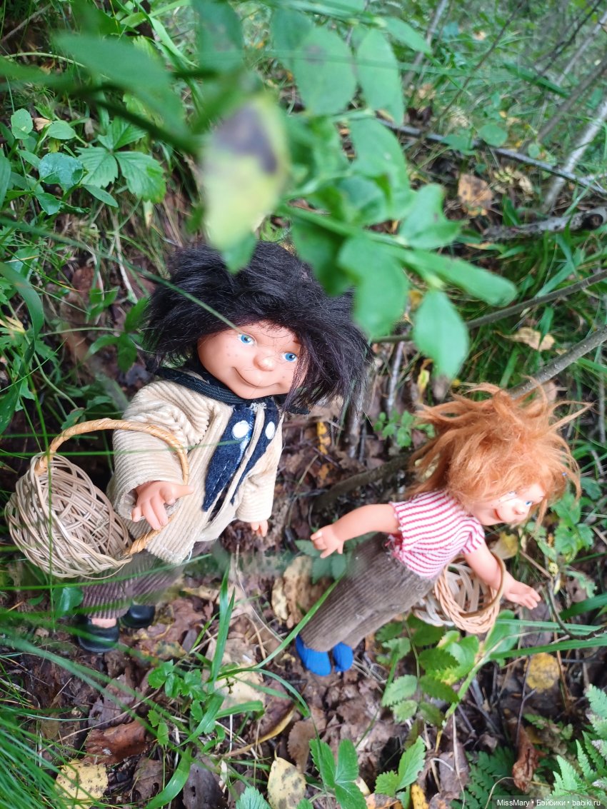 Как Сеня с Мишей в лес ходили