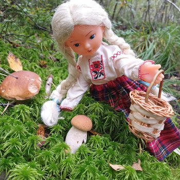 Как Даша по грибы ходила