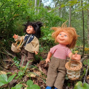 Как Сеня с Мишей в лес ходили