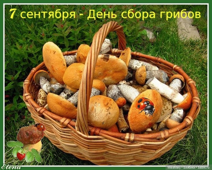 Как Даша по грибы ходила — Советские винтажные куклы (СССР): Ленигрушка