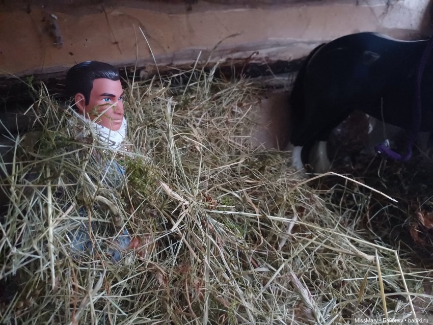 Жар-птица и Морская дева. Путеводитель по сказке + закадровое