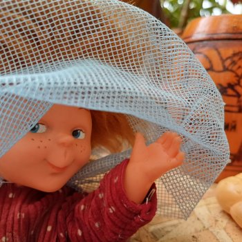 Рыжий пчеловод