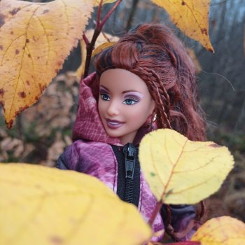 Последние краски ноября 🍂