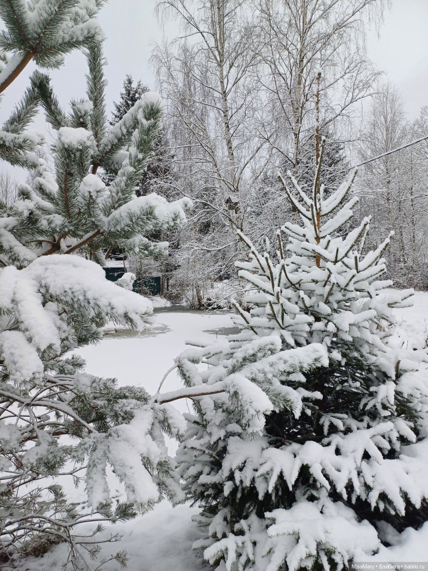Волшебница зима — Красивая природа и цветы: фото пейзажей