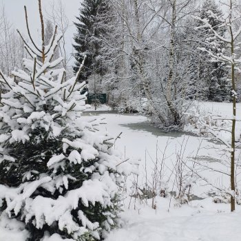 Волшебница зима