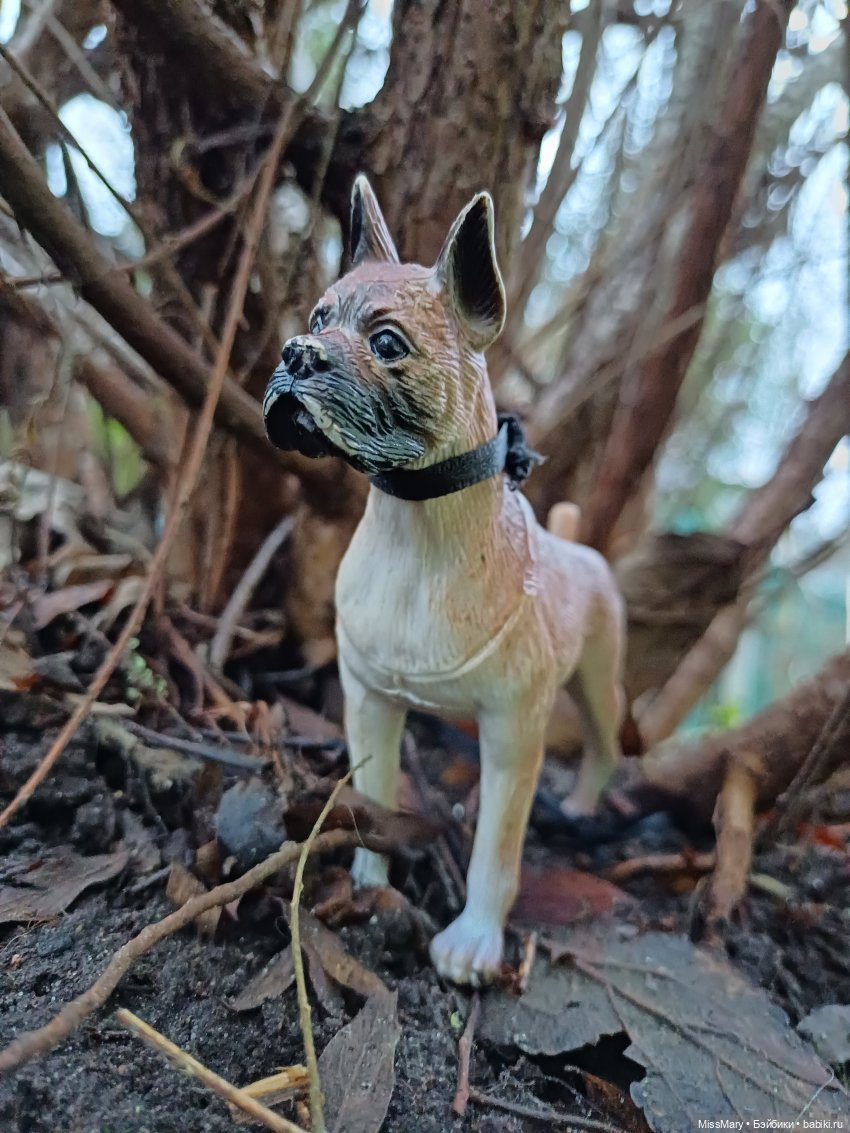 В такую погоду хороший хозяин... Или лучший друг человека в формате 1:6