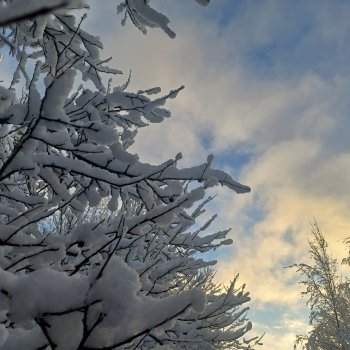 Снег, или каким должен быть декабрь