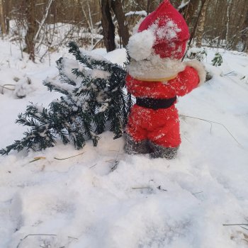 Как Мороз Иваныч за ёлкой ходил 🌲