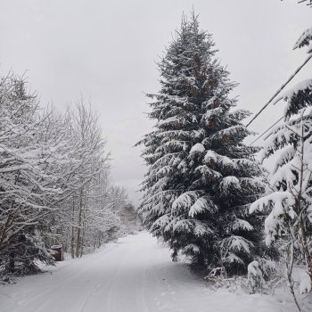 Красавица зима ❄️