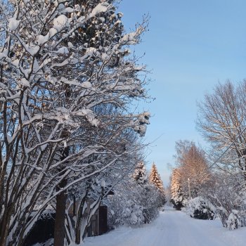 Мороз и солнце. Пейзажи