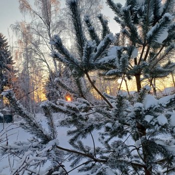 Зимний вечер