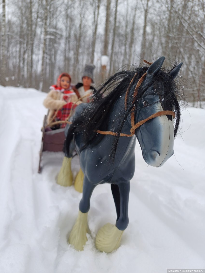Масленица. Катание на санях (фото 2)