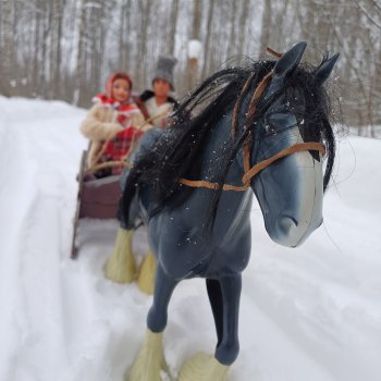 Масленица. Катание на санях