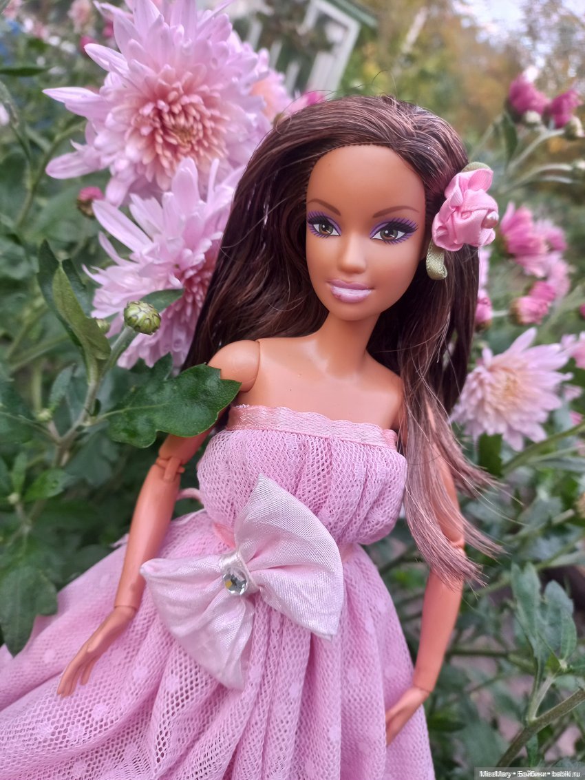 Топик 1200. Моя коллекция барби "молд 2005" (фото 8)
