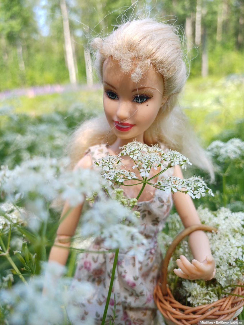 Топик 1200. Моя коллекция барби "молд 2005" (фото 4)