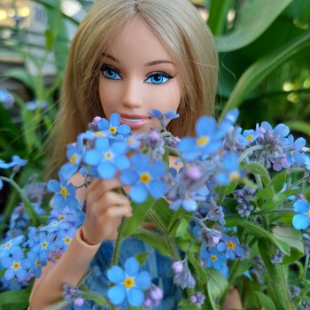 Фея Незабудка 🦋