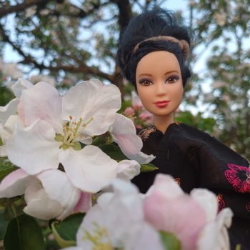 И снова сакура🌸