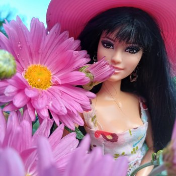 Рома и ромашки 🌸🌸🌸