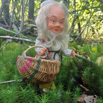 Как Петрович по грибы ходил 🍄