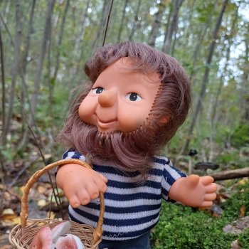И снова по грибы 🍄