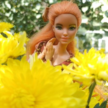 Рыжая лиса 🦊 и хризантемы 🌼