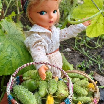 Анькины огурцы 🥒🥒🥒