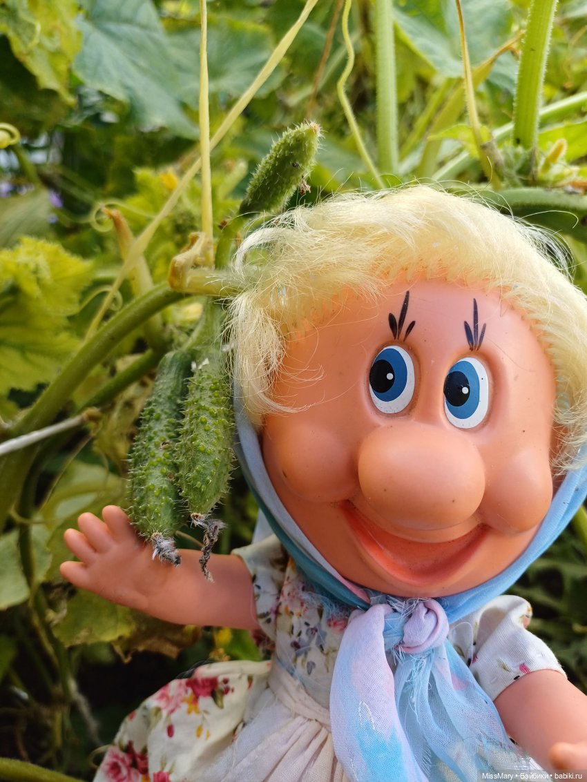 Как Фаина огурцы собирала 🥒🥒🥒