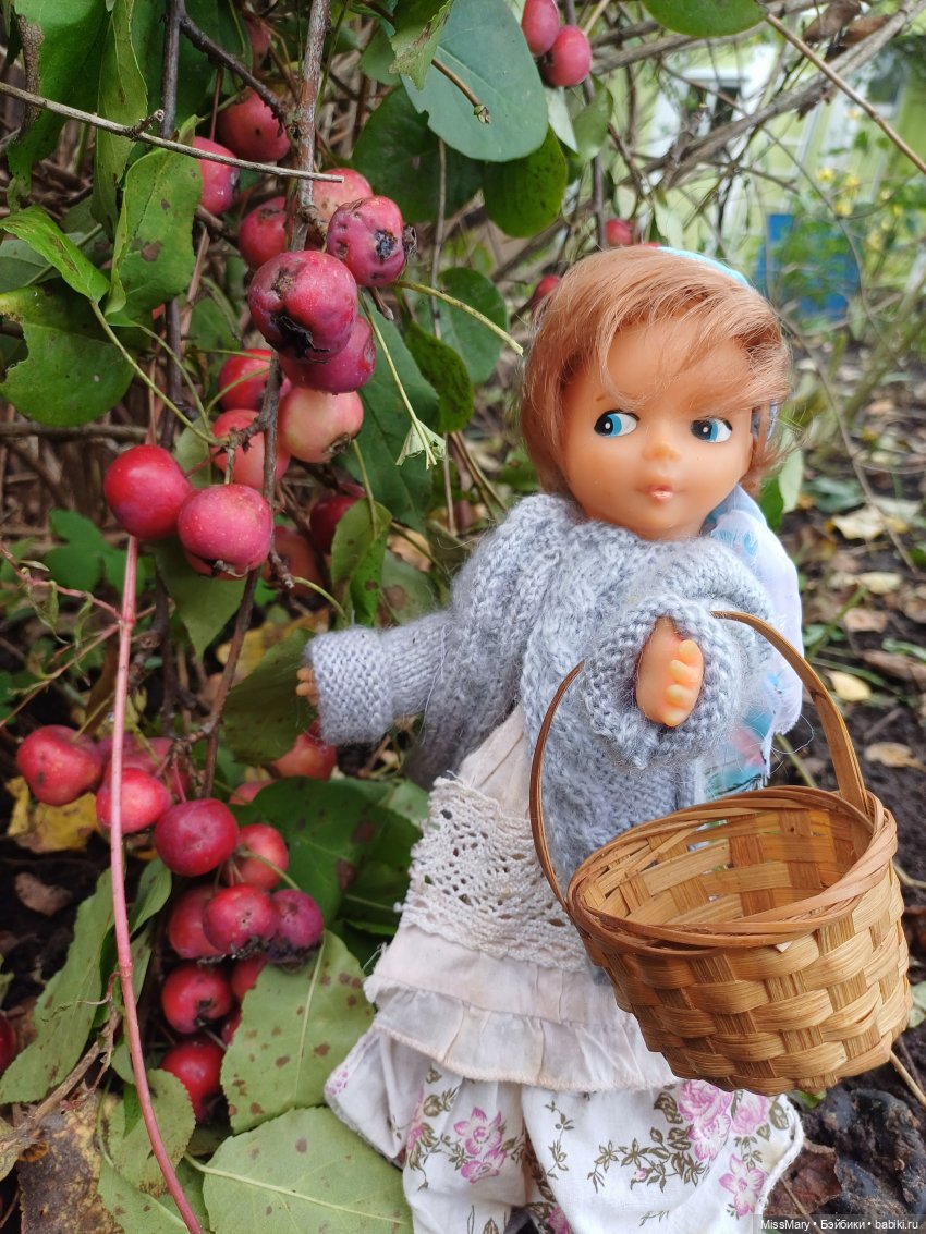 Ульяна и яблоки 🍎🍎🍎 — Винтажные куклы ГДР (Немки): Бигги