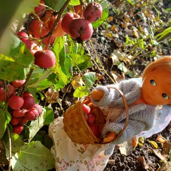 Ульяна и яблоки 🍎🍎🍎