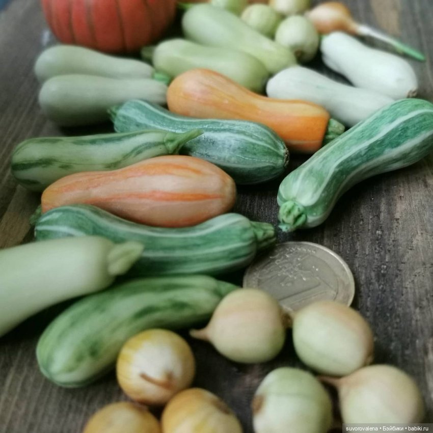 Елена @Polepim_poigraem — Фрукты, овощи, еда для кукол, миниа (фото 9)