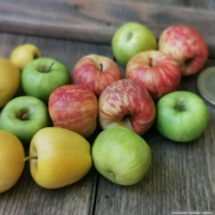 Елена @Polepim_poigraem — Фрукты, овощи, еда для кукол, миниа (фото 4)