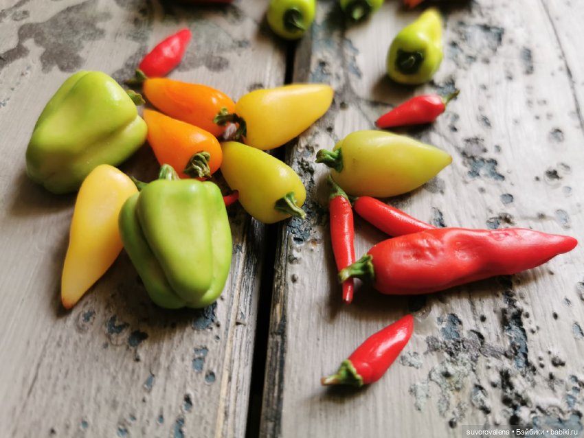 Елена @Polepim_poigraem — Фрукты, овощи, еда для кукол, миниа