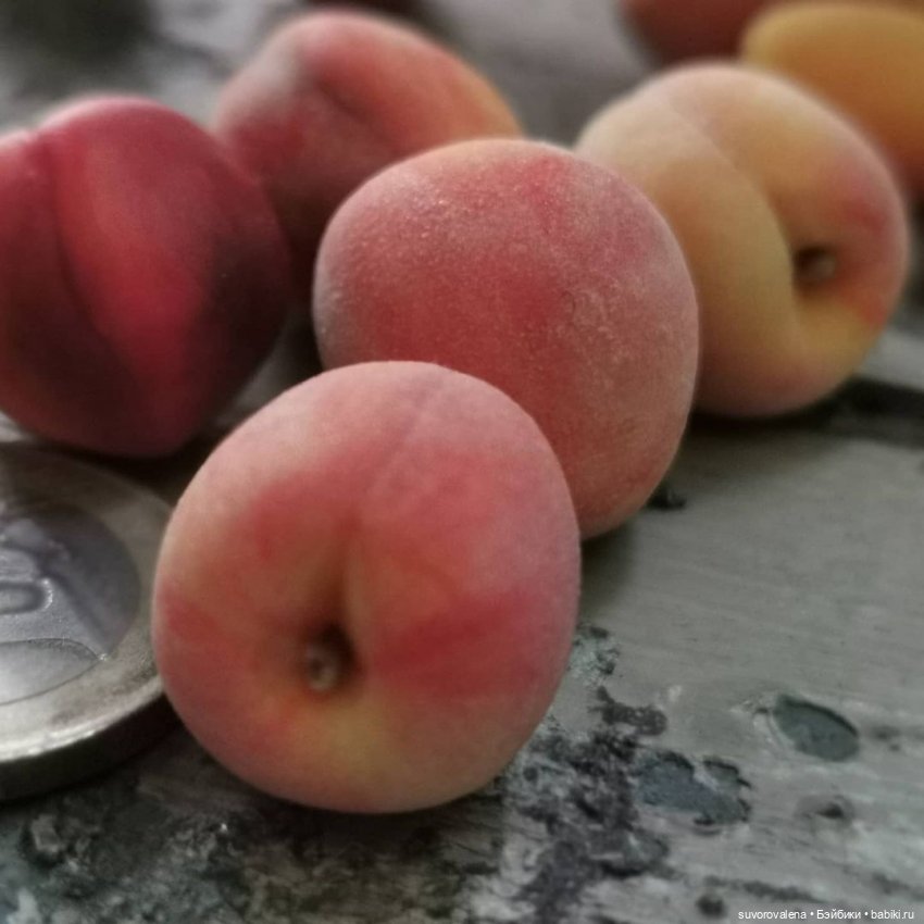 Елена @Polepim_poigraem — Фрукты, овощи, еда для кукол, миниа (фото 8)