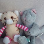 Котята kidz n cats